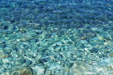 Fototapeta premium Stony bottom off the coast of the island of Majorca, Spain