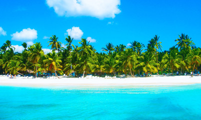 Tropical beach in caribbean sea, Saona island, Dominican Republic