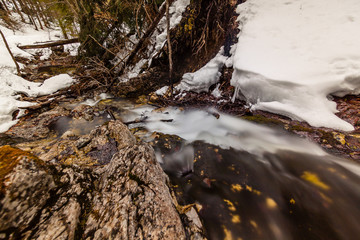mountain stream in winter © Piotr_Kardas