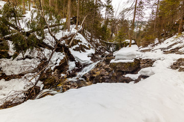 mountain stream in winter