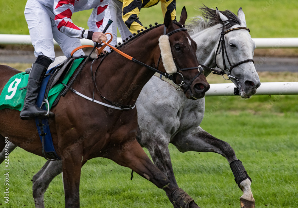 Wall mural two horses racing