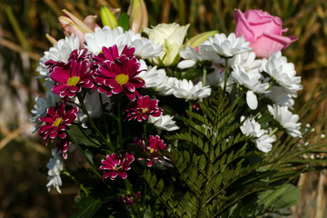 blooming flowers as a decoration