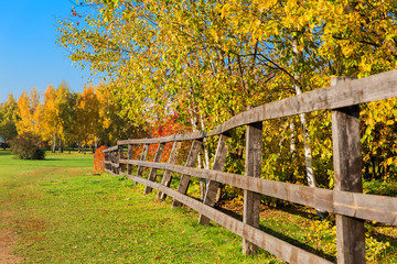 Beautiful autumn landscape. Wooden fence and plants in a village