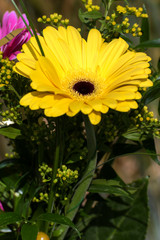 blooming flowers as a decoration