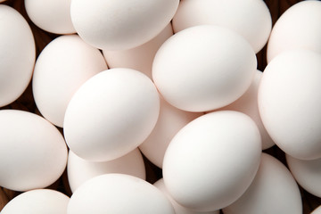 Pile of raw white chicken eggs, top view