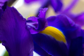 Schilderijen op glas Purple delicate iris petals, bright flower background © Victoria