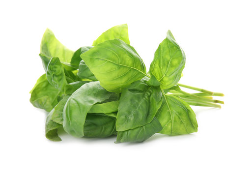 Fresh green basil leaves on white background
