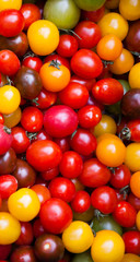 Different colorful cherry tomatoes at organic farmers market in Provence, France.