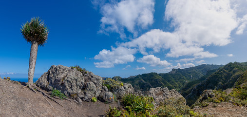 landscape in mountains