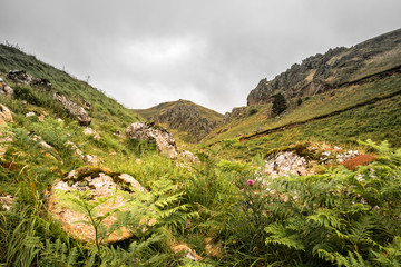 Obraz premium scenic landscape in Iraty mountains in summertime, basque country, france