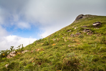 scenic landscape in Iraty mountains in summertime, basque country, france