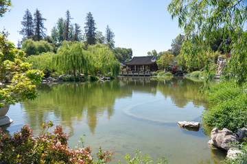 Obraz premium pond in the park