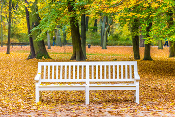 żółte i pomarańczowe liście spadają z drzew w parku w porze jesieni - obrazy, fototapety, plakaty