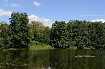 Lower Kuzminsky pond in the natural-historical park "Kuzminki-Lyublino"
