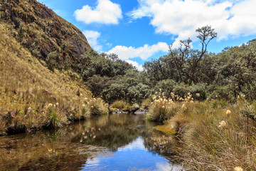 panoramic landscape of cajas national park, ecuador