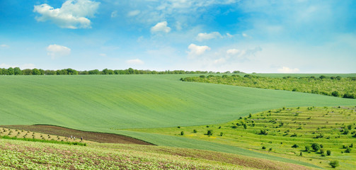 Landscape with hilly field and blue sky. Wide photo.