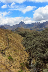 panoramic landscape of cajas national park, ecuador