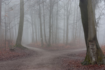 Kreuzweg im Wald © Reiner Ugele