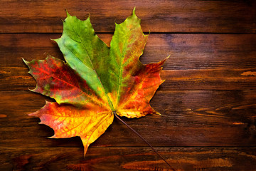 Obraz premium Autumn background of yellow and colored leaves, on a wooden background