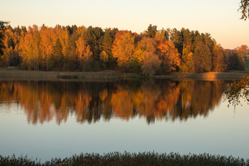 Tree reflections on lake at sunset 