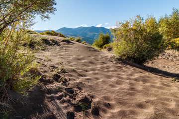 sand dunes in colorado