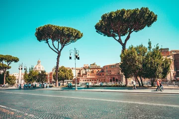 Fototapete Rund A typical landscape of Rome with tall trees and ancient buildings © kbarzycki