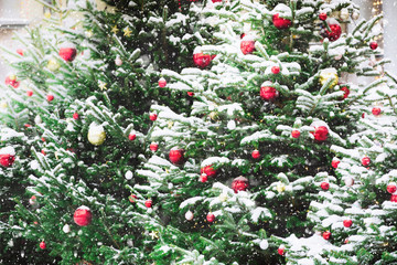 Decorated Christmas tree with garland, fair. Outdoor. Xmas card and pattern. Close up. Winter.