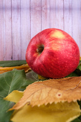 Apple fruit close up with leaves