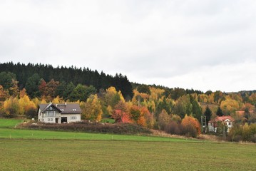 Pejzaż jesienny