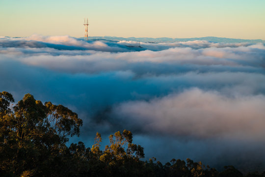 Sutro Tower In Fog