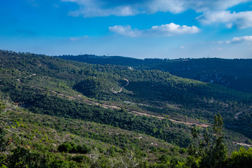 Fototapeta na wymiar The green hills of mount Carmel