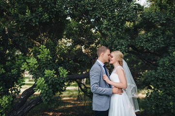Fototapeta na wymiar Beautiful newlyweds are smiling and hugging in a park with green trees. Wedding portrait of a young groom and cute bride. Wedding photography.