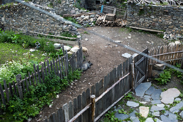 Street in Adishi village in Svaneti, Georgia