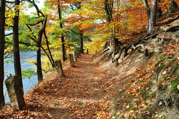 Fototapeta Pejzaż jesienny obraz