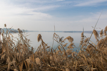 Estany d´Ivars i Vila-sana con niebla