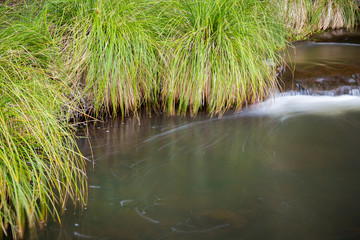 Wet Beaver Creek in Arizona