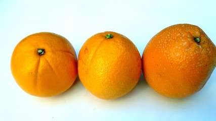 trois oranges sur fond blanc