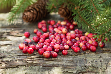 Cranberries, fir cones, fir branches on a wooden background.