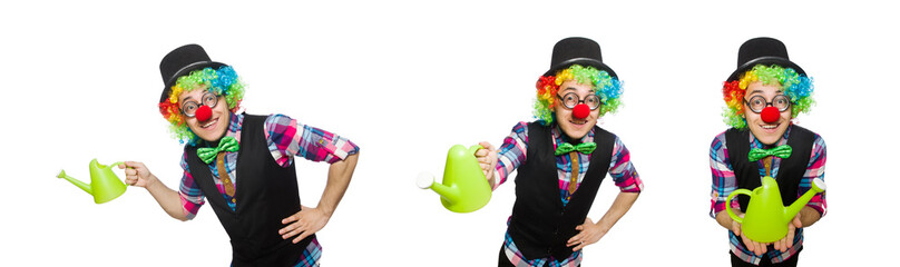 Clown isolated on the white background