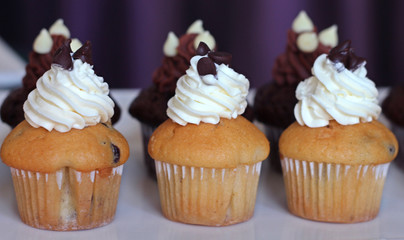 vanilla cup cakes