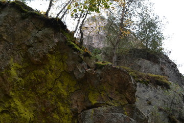 Stone wall in the autumn forest