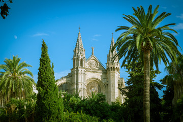 Palma Cathedral, Palma de Mallorca, Spain - 228920772