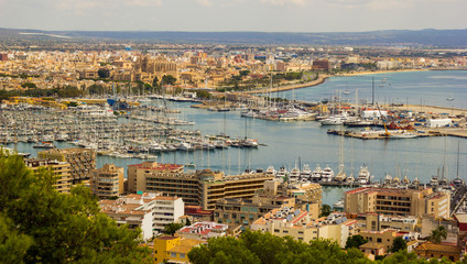 City landscape of Palma de Mallorca - 228920785