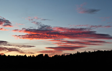 Beautiful colorful sunset over the forest. Nature landscape sunset background