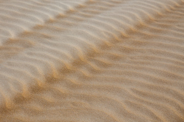 sand on the beach waves