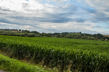 sidliska