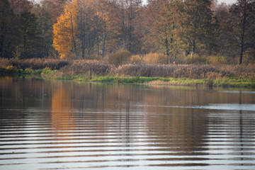 Natural landscape -  the fishing place