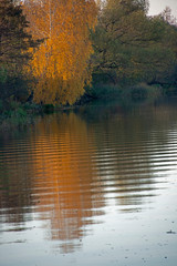 Natural landscape -  the fishing place