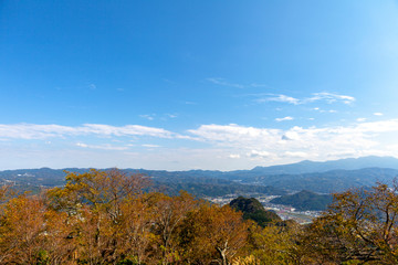 戦場ヶ原　長野　山梨　北海道　美瑛　高山　新潟　美しい　日本　男女　徒歩	伊豆