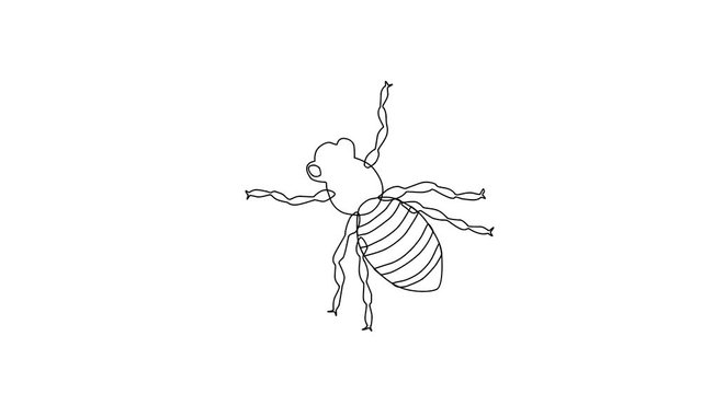 Animated sketch vector doodle of bee insect drawn in black changes to color illustration